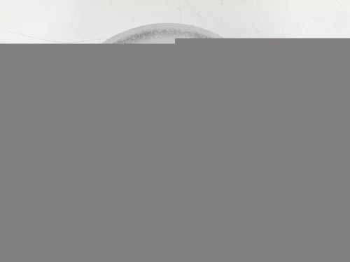  C88WP - DISC + BEARING SET/ 1 SIDE/ SEE 424946 1611840880 1619238880 (C88WP)