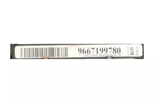  C130EN - BSM-00 R09/ 9667199780/ SEE 6500HW (C130EN)