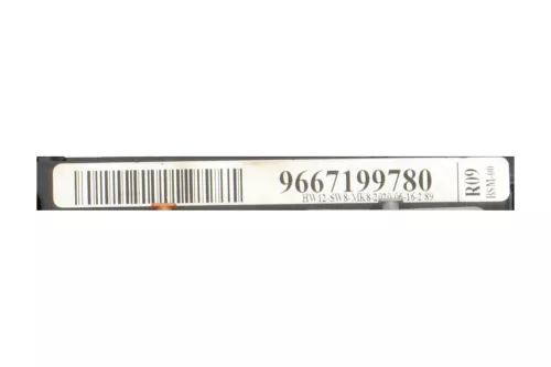  C130EN - BSM-00 R09/ 9667199780/ SEE 6500HW (C130EN)