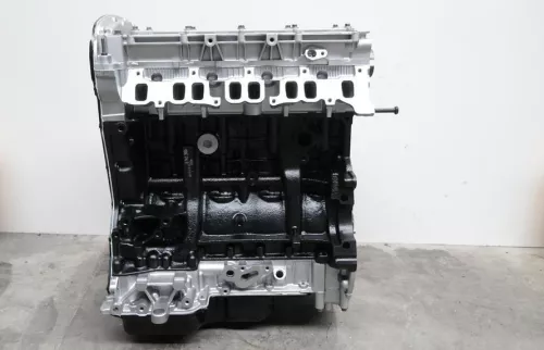  C554AA - T3/ HDI 2.2 4HV PUMA 22DT/ 100PK/ SEE.0135KX (C554AA)