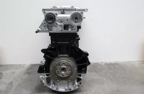  C554AA - T3/ HDI 2.2 4HV PUMA 22DT/ 100PK/ SEE.0135KX (C554AA)