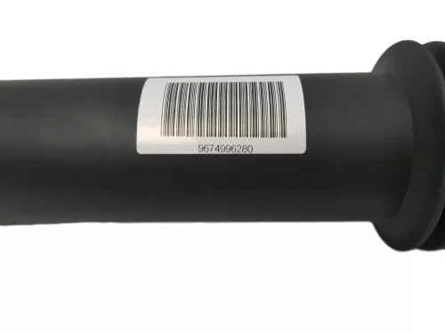 C349TA - SPRING CYLINDER/ +PLUG/ +VARIABLE/ 9667013580 9683243880