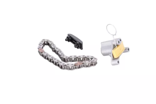 PSA / Stellantis HDI 2.0 16V RHT DW10ATED4/ TIMING CHAIN (0000058438)