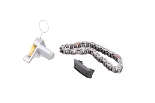 PSA / Stellantis HDI 2.0 16V RHT DW10ATED4/ TIMING CHAIN (0000058438)