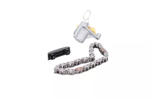 PSA / Stellantis HDI 2.0 16V RHT DW10ATED4/ TIMING CHAIN (0000058438)