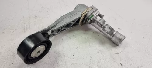 PSA / Stellantis B 1.6 16V 4CYL 5FS 5F01 EP6C 120PK/ SUPPORT INCLUDING TENSIONER/ (0000324101)