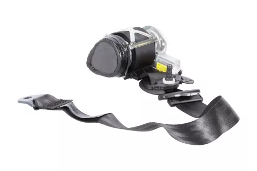 PSA / Stellantis RV/ BLACK BELT/ TRW 34142151/ SEE 98009730XX (0000357531)