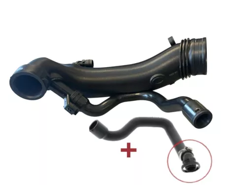 HOSE CLAMP ON VALVE COVER/ BT 1.6 16V 4CYL 5FV 5F02 EP6CDT