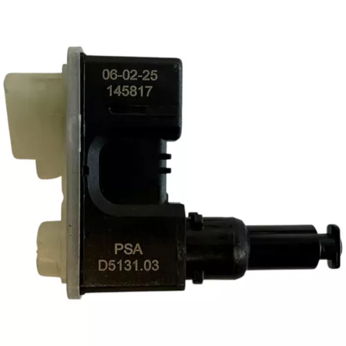 CONTROL MOTOR/ R8/ PSA D5131.01 D513101/ SEE 9810871780