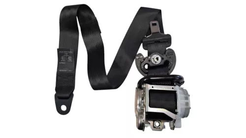 PSA / Stellantis FRONT LEFT/ FXX BLACK/ PLASTIC SIDE WALL PROTECTION PANELS (0000384207)