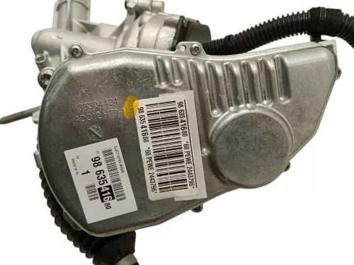 PSA / Stellantis 9863541680/ 38307692 SEE 1696256180 (0000385537)