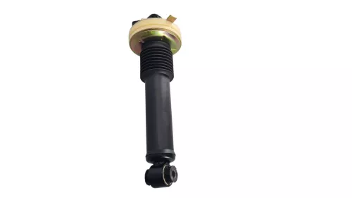 SPRING CYLINDER/PLUG/VARIABLE/9688225980 WITHOUT