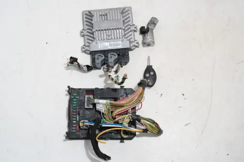 HDI 2.0 16V RHR DW10BTED4/ HAND/ SIEMENS 5WS40307A-T
