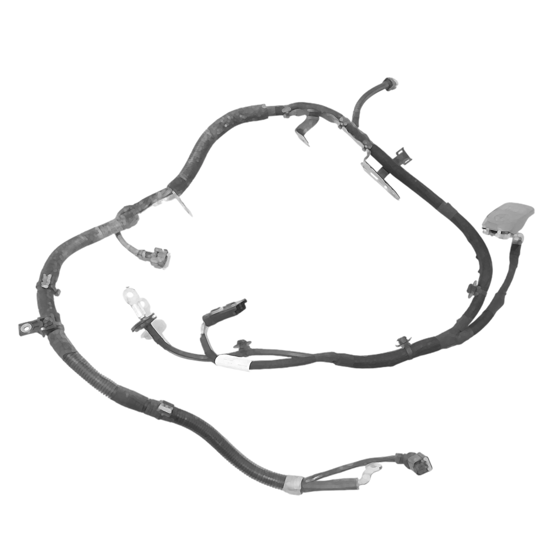 Wiring harness / Connector